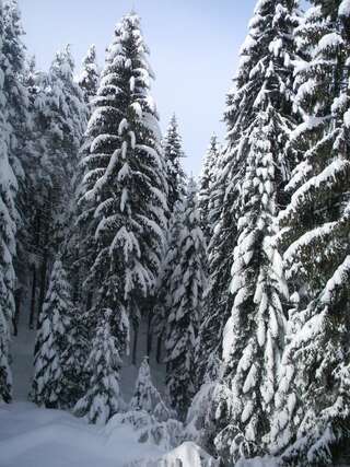 Отель Ski Hotel Katerina Банско-2